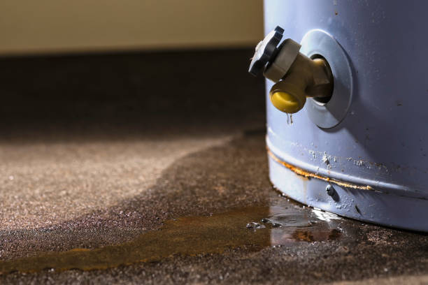 24/7 water damage repair in Merriam, KS