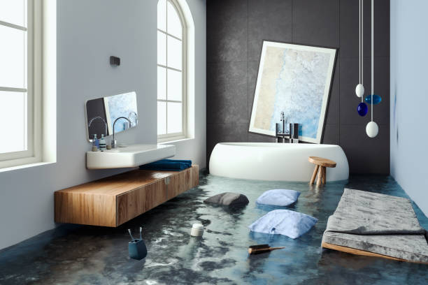 Best Flood damage cleanup  in Merriam, KS