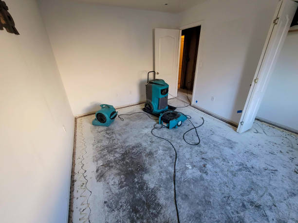 Best Professional water damage repair  in Merriam, KS