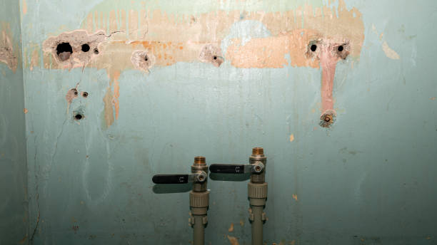 Best Commercial water damage restoration  in Merriam, KS