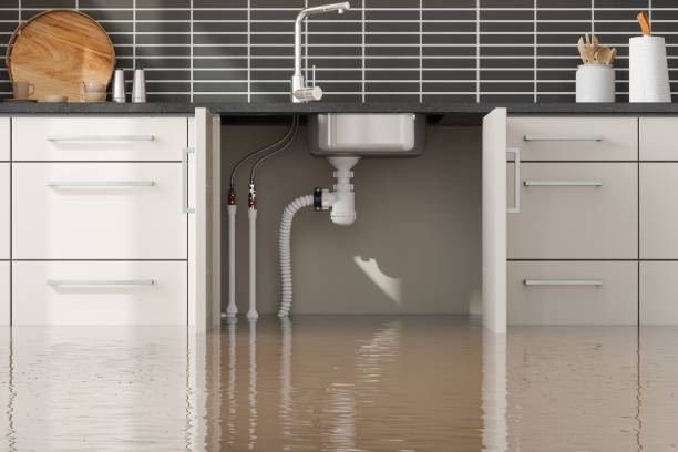 Best Water damage restoration cost  in Merriam, KS