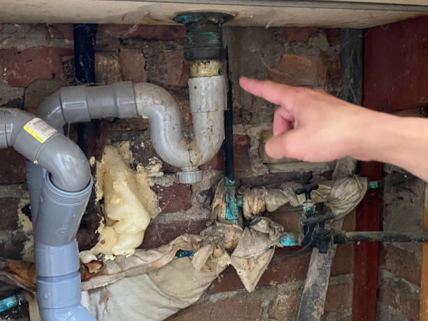 Best Water damage mitigation services  in Merriam, KS
