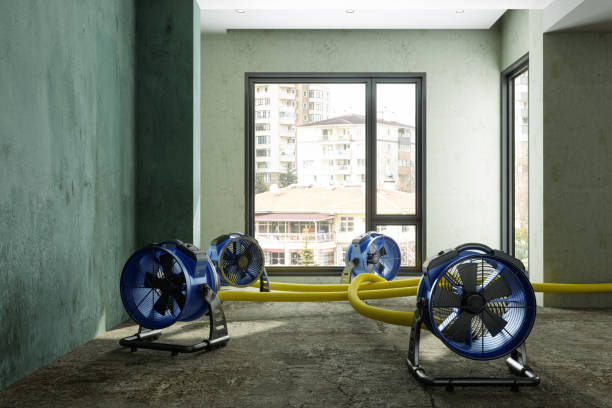 Best Local water damage restoration  in Merriam, KS