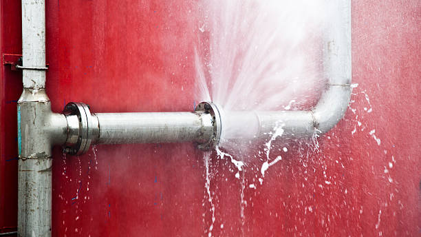 Carpet water damage restoration in Merriam, KS